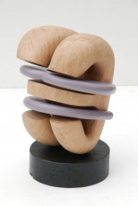 zeno VII 2020 wood, paint